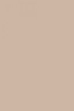 FARROW AND BALL SMOKED TROUT NO. 60 PAINT